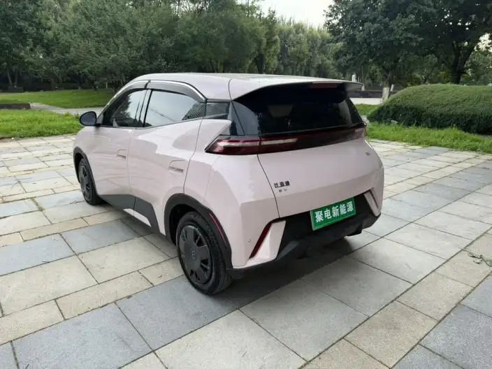 BYD Seagull 2024 Model Honor Edition 305KM Vitality Edition – фото 4