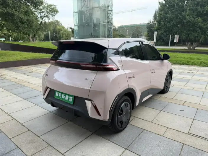 BYD Seagull 2024 Model Honor Edition 305KM Vitality Edition – фото 6