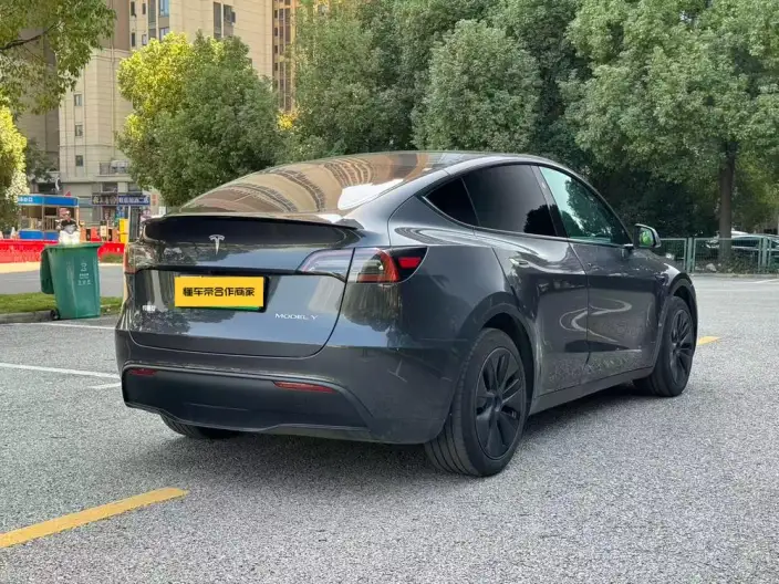 Model Y 2024 Model Rear-wheel drive version – фото 6