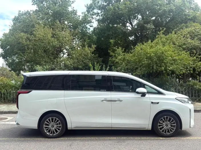 Wey Gaoshan P HEV 2025 Model 4WD Wey Gaoshan 8 – фото 5