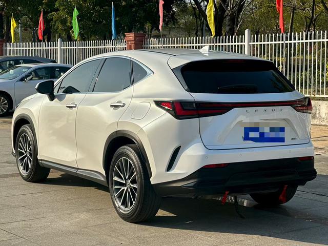 Lexus NX 2022 260 Front-Drive Genesis Edition – фото 6