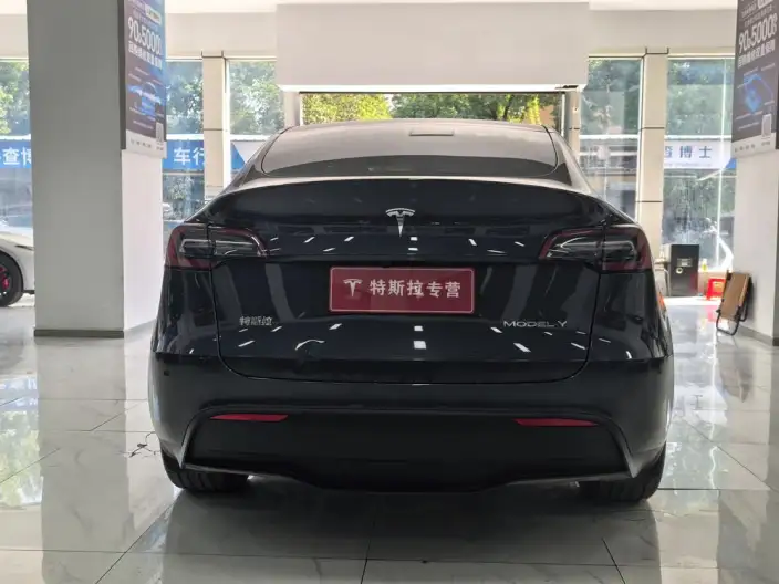 Model Y 2024 Model Rear-wheel drive version – фото 6