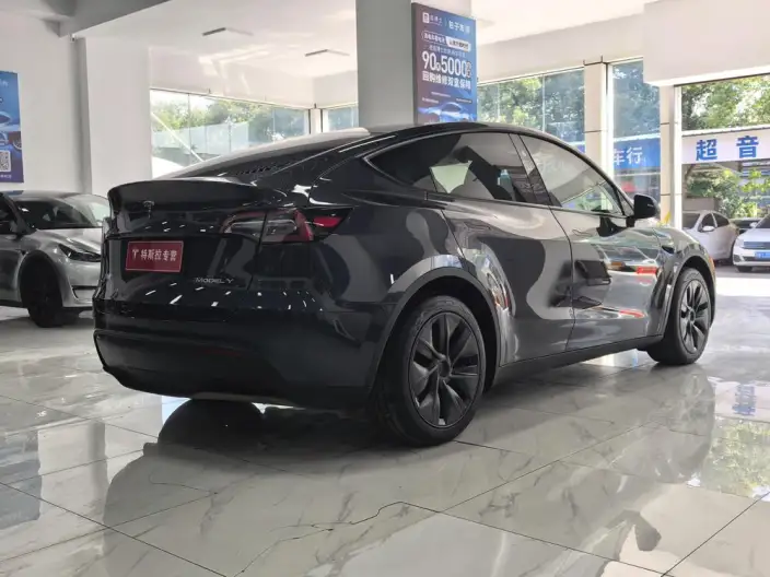 Model Y 2024 Model Rear-wheel drive version – фото 7