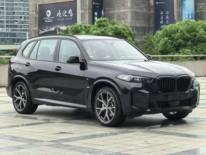 BMW X5 2025 Model xDrive30Li Exclusive Model M Sports Night Set – фото 3