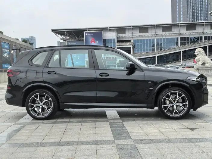 BMW X5 2025 Model xDrive30Li Exclusive Model M Sports Night Set – фото 6