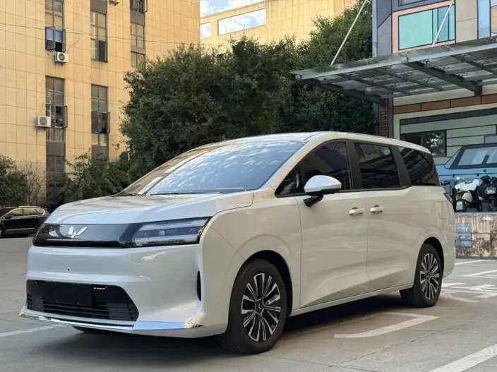 Xingguang 730 EV 2025 Model 500km Luxury Model
