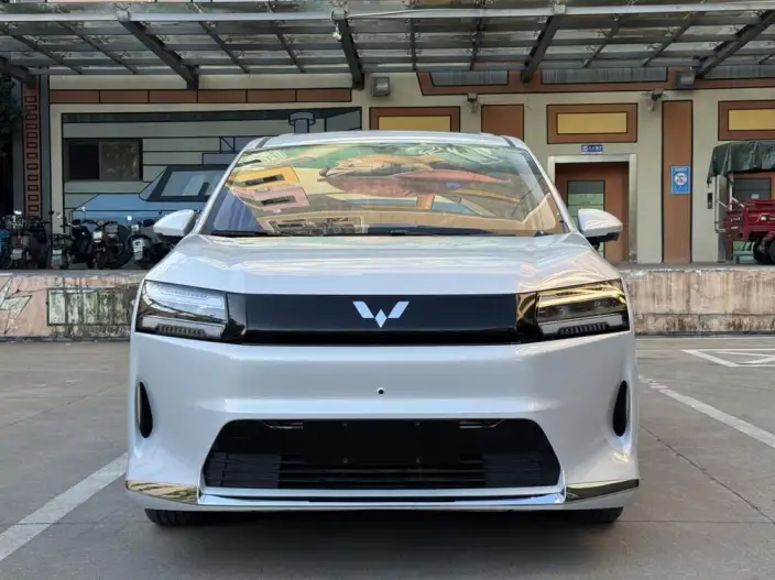 Xingguang 730 EV 2025 Model 500km Luxury Model