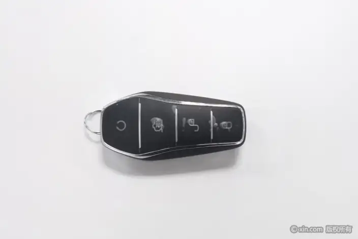 BYD Han DM 2022 Model DM-i 121KM Zunrong Model – фото 6