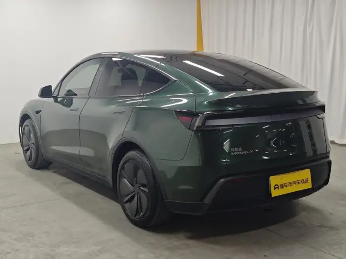 Model Y 2025 Model Rear-wheel drive version – фото 5