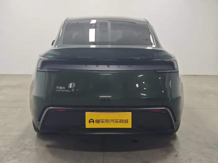 Model Y 2025 Model Rear-wheel drive version – фото 6