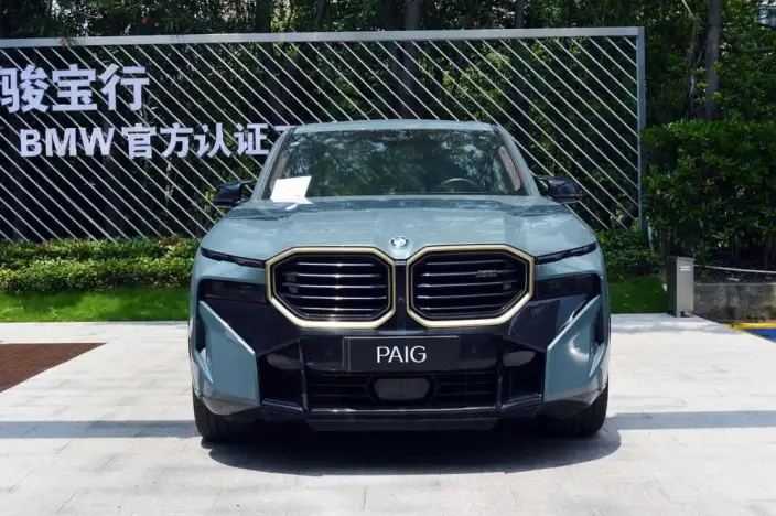 BMW XM 2023 Model 4.4T Standard Model – фото 2
