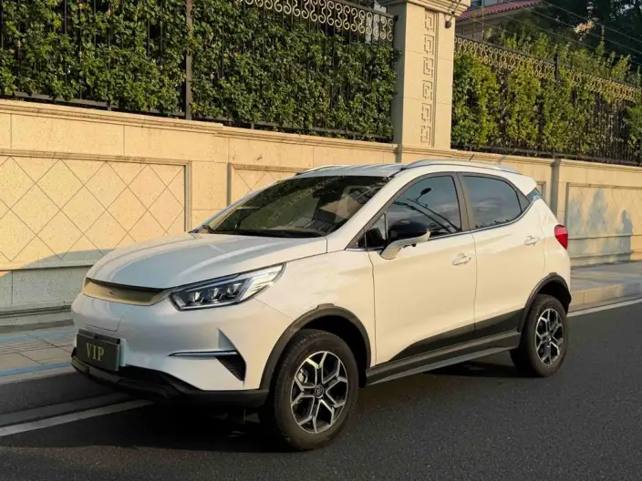 Yuan Pro 2023 Model 401KM Luxury Model