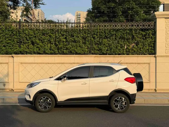 Yuan Pro 2023 Model 401KM Luxury Model
