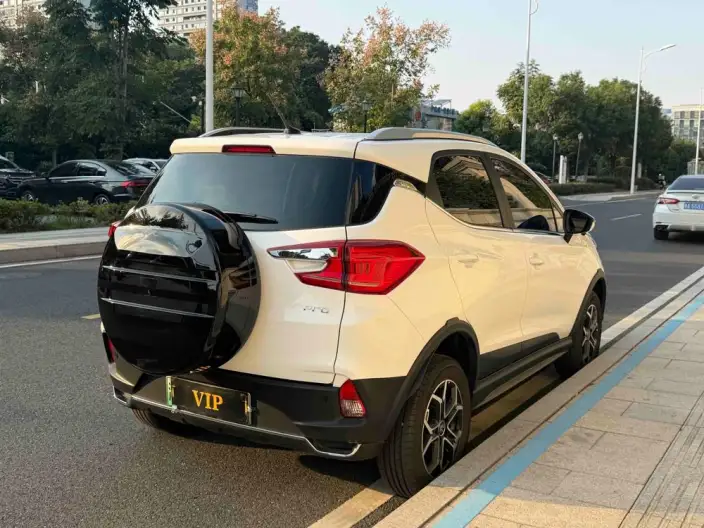 Yuan Pro 2023 Model 401KM Luxury Model – фото 5