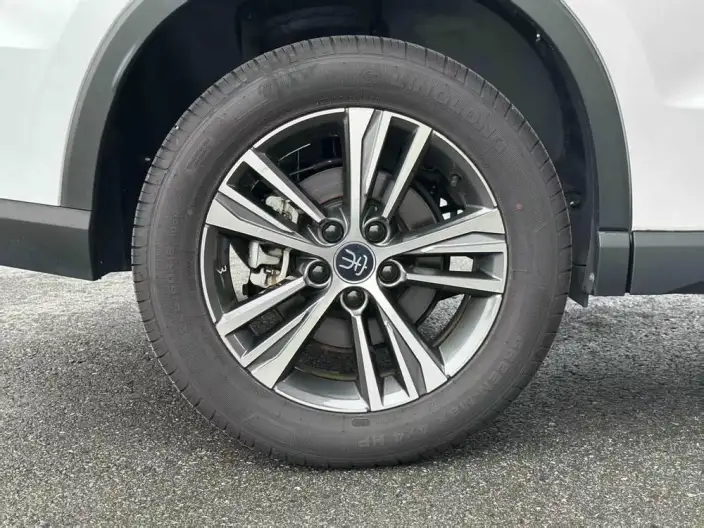BYD Song Pro DM 2022 Model DM-i 51km Noble Model – фото 10