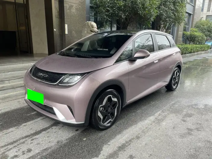 BYD Dolphin 2021 Model Free Edition