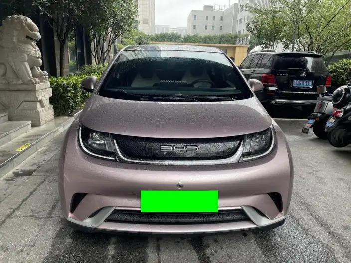 BYD Dolphin 2021 Model Free Edition