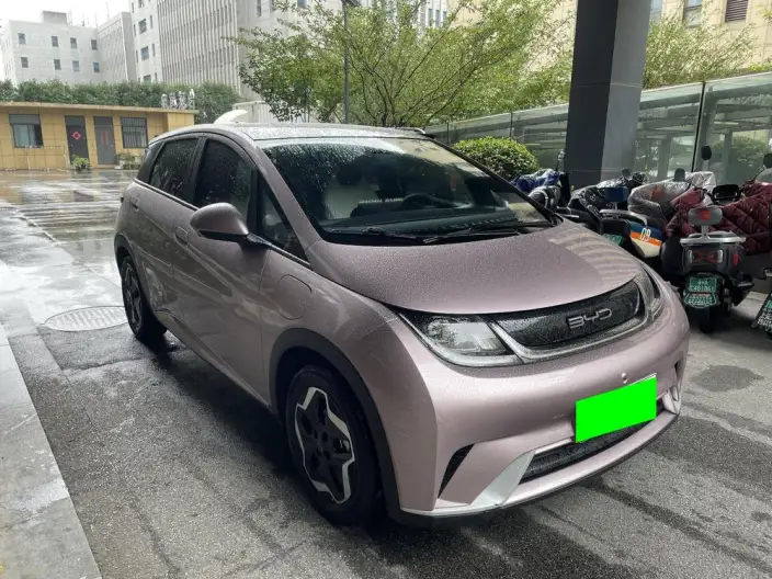 BYD Dolphin 2021 Model Free Edition