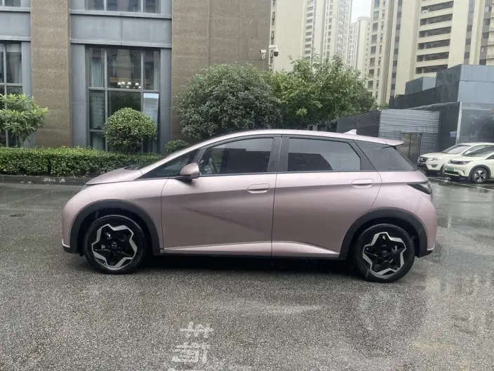 BYD Dolphin 2021 Model Free Edition