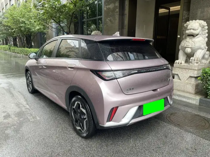 BYD Dolphin 2021 Model Free Edition – фото 5