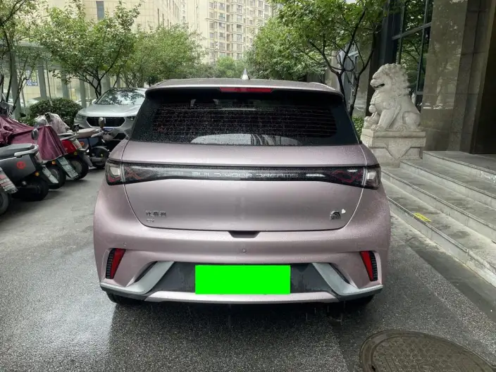 BYD Dolphin 2021 Model Free Edition – фото 6