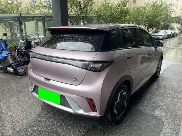 BYD Dolphin 2021 Model Free Edition – фото 7