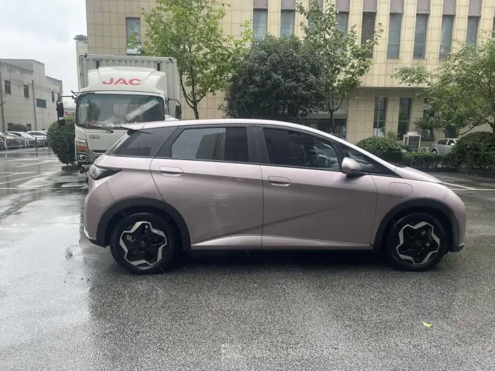 BYD Dolphin 2021 Model Free Edition – фото 8