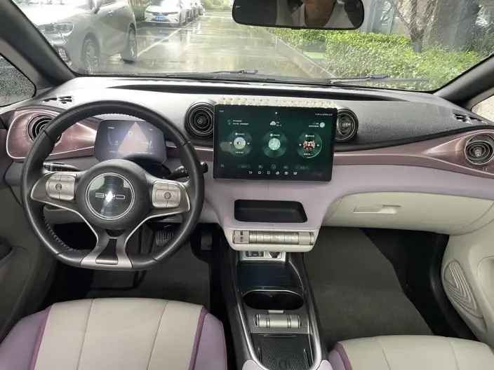 BYD Dolphin 2021 Model Free Edition – фото 10