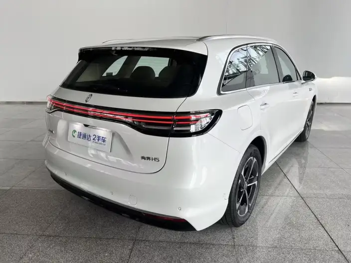 Sangyuan H5 2025 Model Extended Range Max – фото 7
