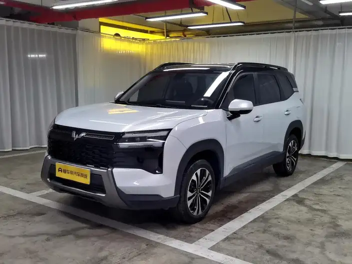 Xingguang 560 PHEV 2026 Model 125km Luxury Model
