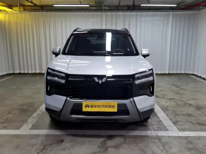 Xingguang 560 PHEV 2026 Model 125km Luxury Model