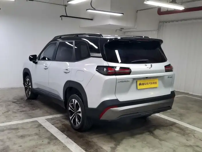 Xingguang 560 PHEV 2026 Model 125km Luxury Model – фото 5