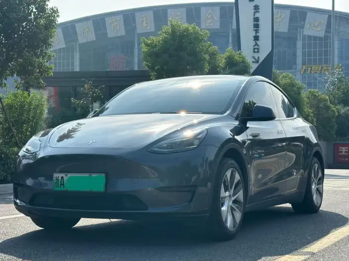 Model Y 2022 Model Rear-wheel drive version – фото 1