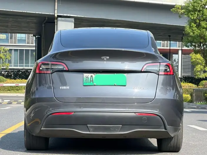 Model Y 2022 Model Rear-wheel drive version – фото 6