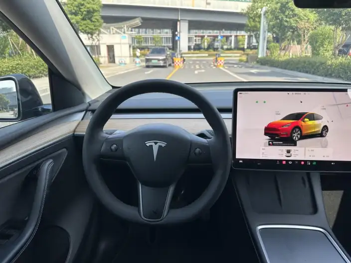 Model Y 2022 Model Rear-wheel drive version – фото 10