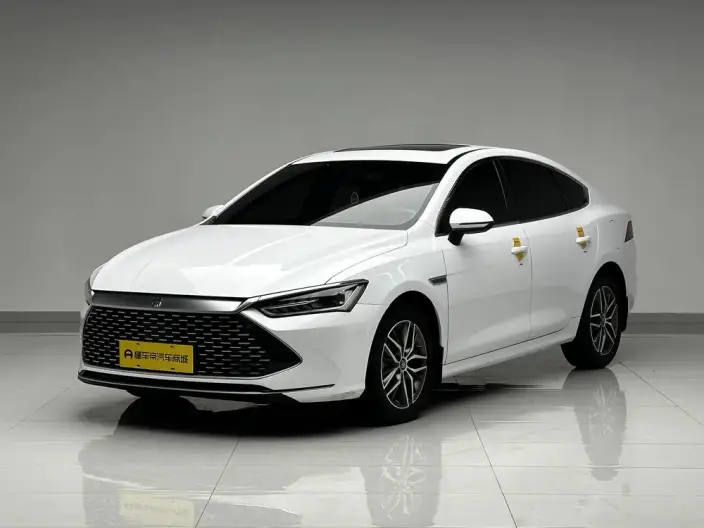 BYD Qin PLUS DM 2021 Model DM-i 120KM Noble Model – фото 1