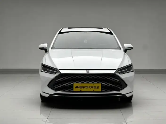 BYD Qin PLUS DM 2021 Model DM-i 120KM Noble Model – фото 2