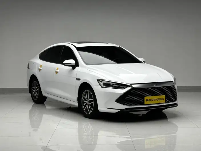 BYD Qin PLUS DM 2021 Model DM-i 120KM Noble Model – фото 3