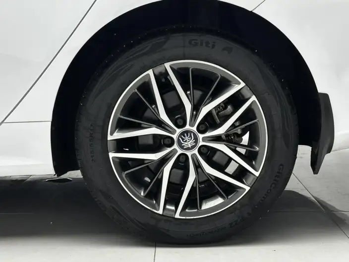 BYD Qin PLUS DM 2021 Model DM-i 120KM Noble Model – фото 9