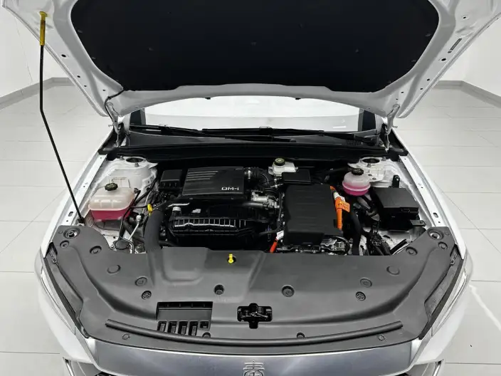 BYD Qin PLUS DM 2021 Model DM-i 120KM Noble Model – фото 10