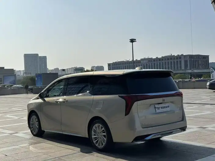 Century 2025 Model 2.0T VII seat Yunshi Edition – фото 5
