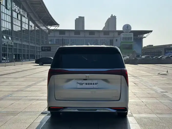 Century 2025 Model 2.0T VII seat Yunshi Edition – фото 6