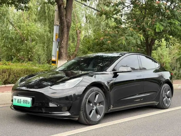 Model 3 2022 Model Rear-wheel drive version – фото 1