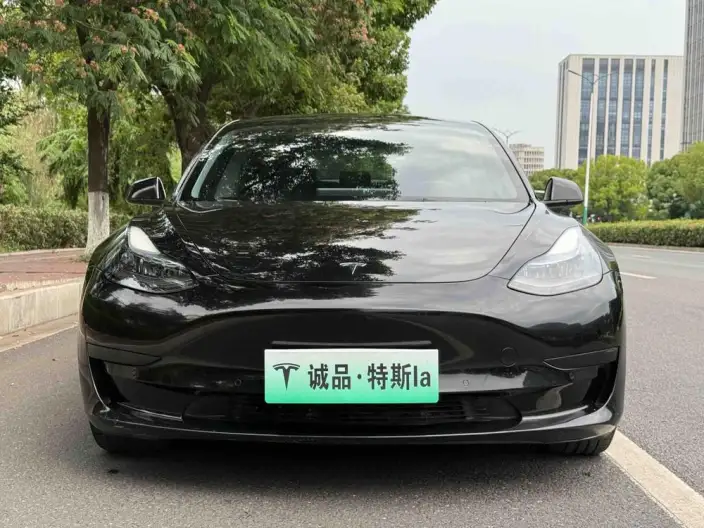 Model 3 2022 Model Rear-wheel drive version – фото 2