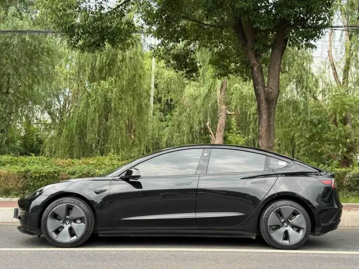 Model 3 2022 Model Rear-wheel drive version – фото 4