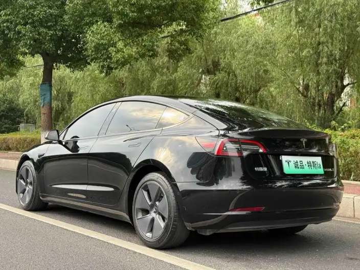 Model 3 2022 Model Rear-wheel drive version – фото 5