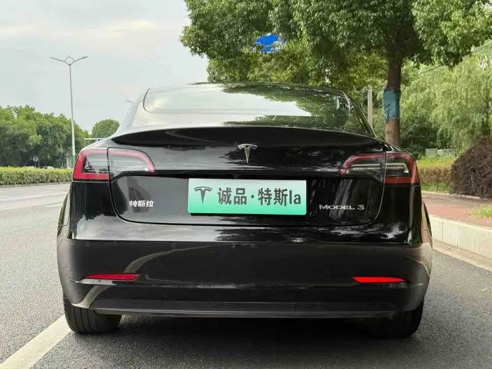 Model 3 2022 Model Rear-wheel drive version – фото 6