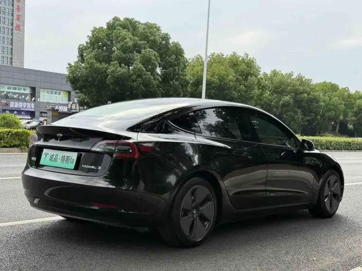 Model 3 2022 Model Rear-wheel drive version – фото 7