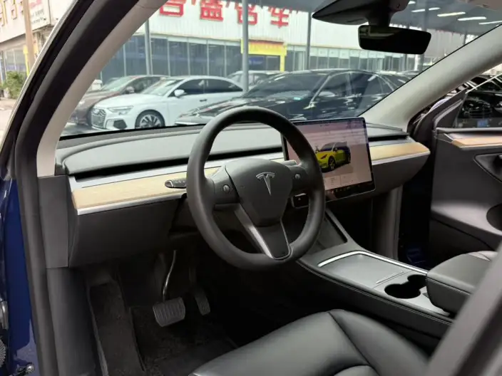 Model Y 2022 Model Long Battery Life Pro All-wheel drive version – фото 9