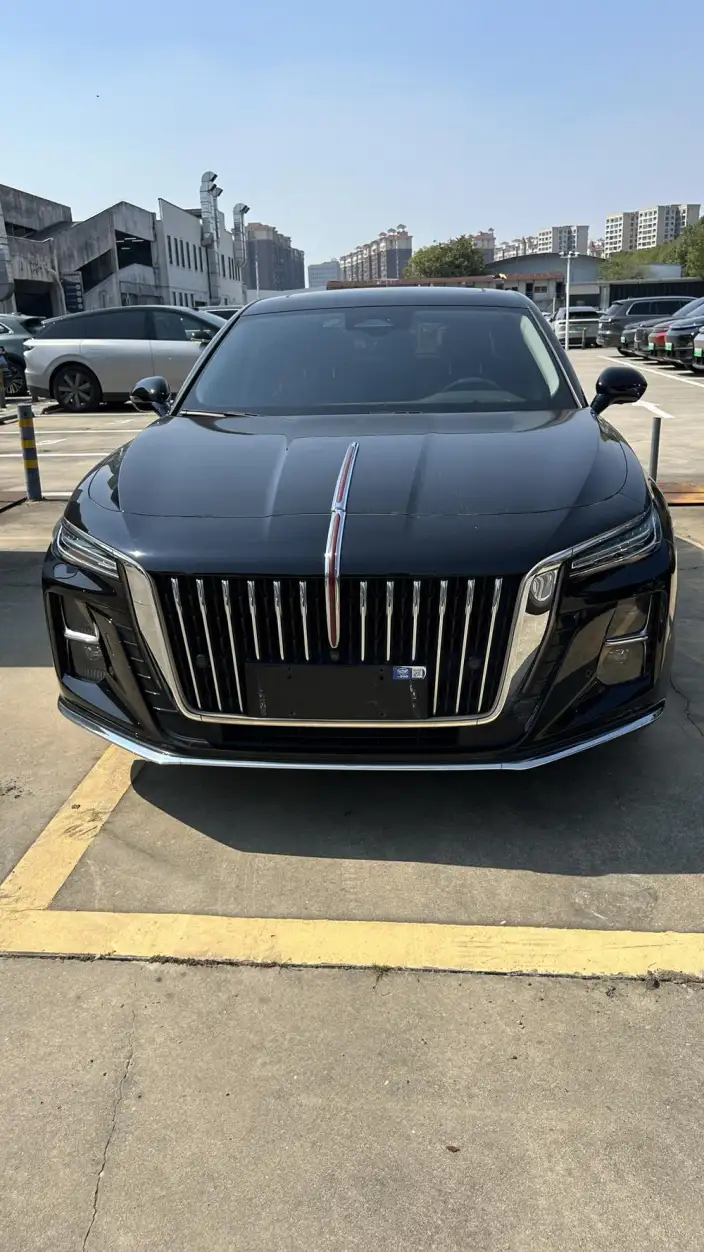 Hongqi H5 2023 Model 2.0T Automatic Flag Enjoy Edition
